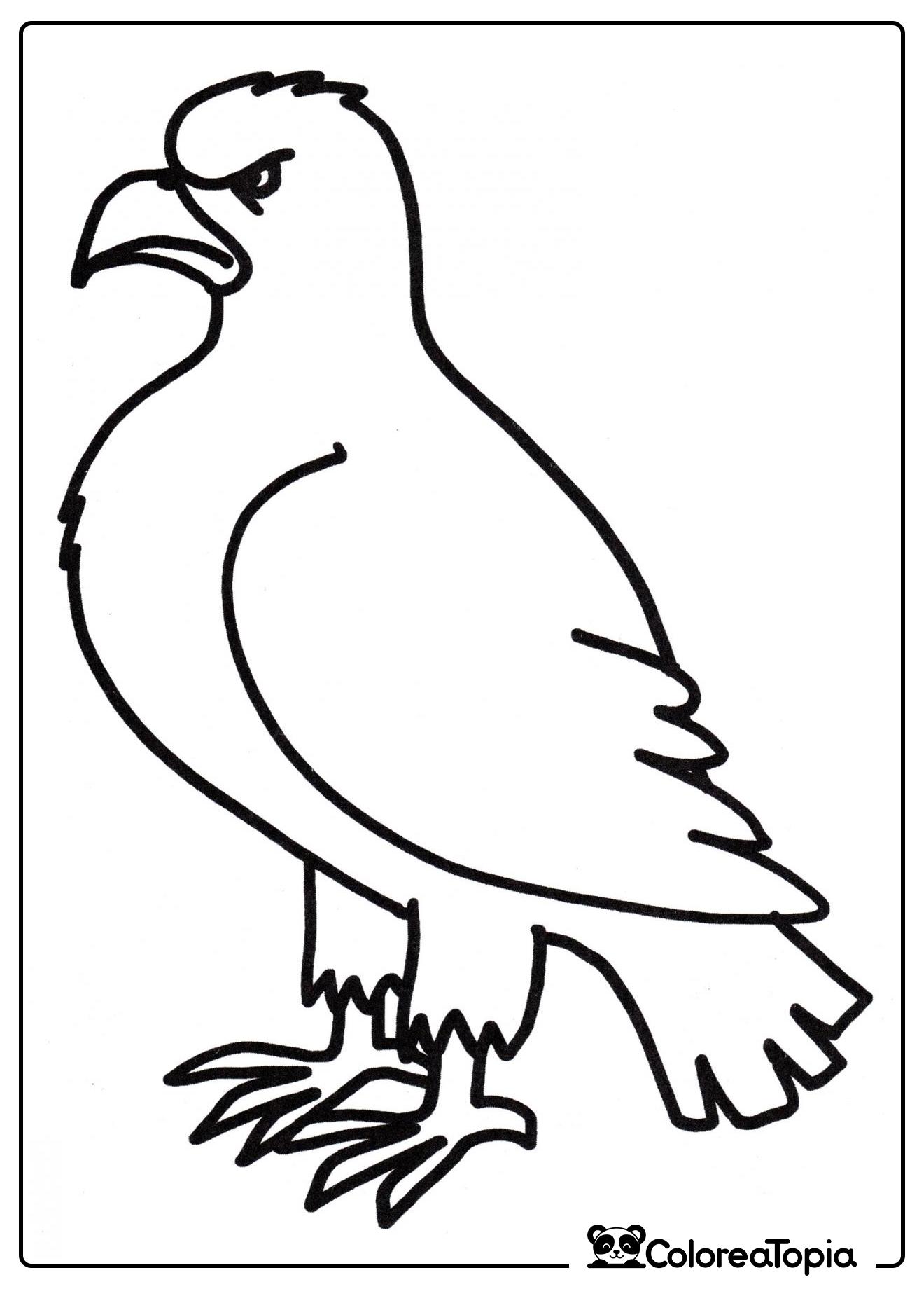 Águila feroz - dibujo para colorear