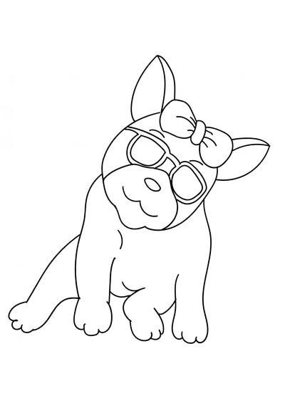 Bulldog con gafas