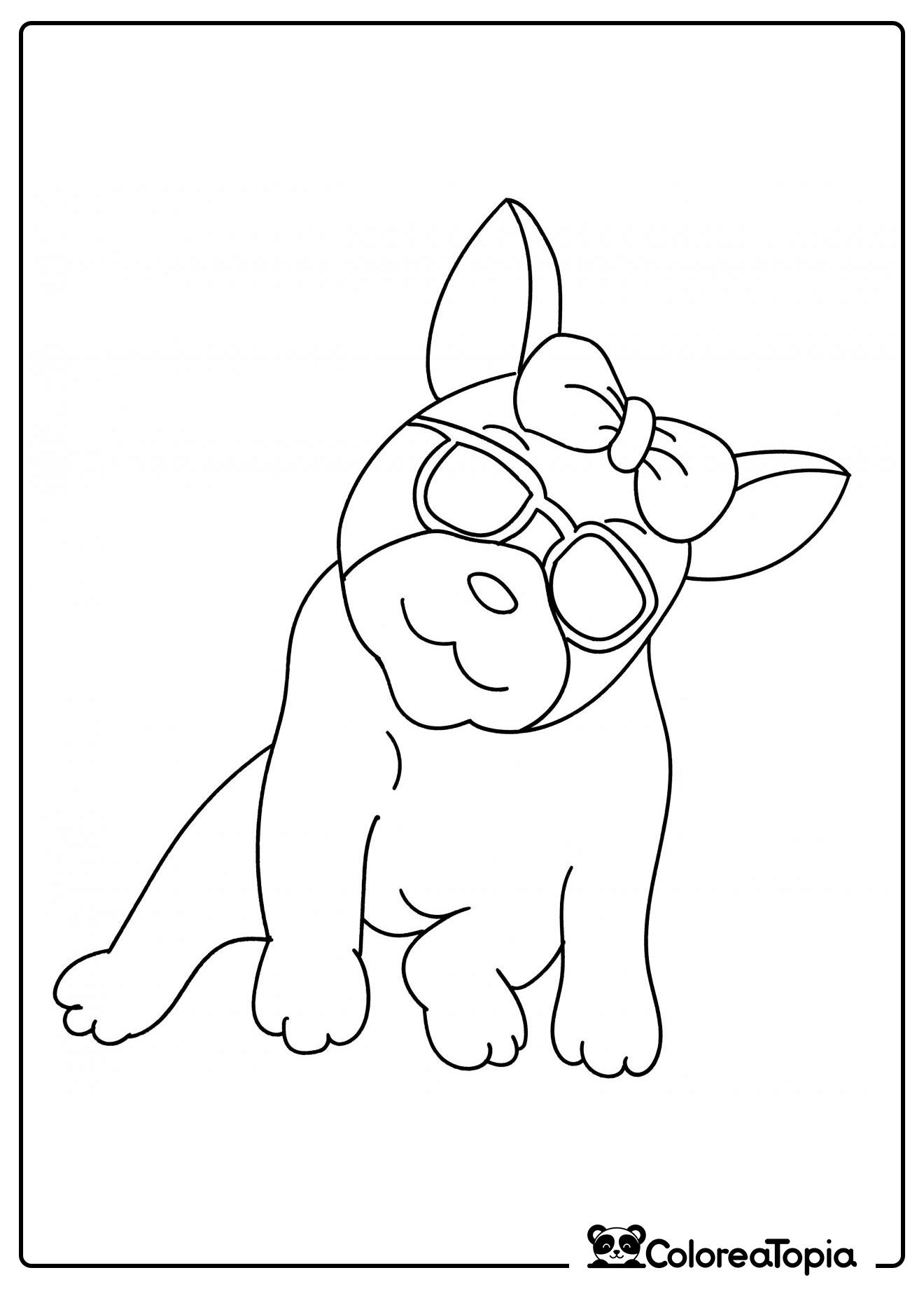 Bulldog con gafas - dibujo para colorear