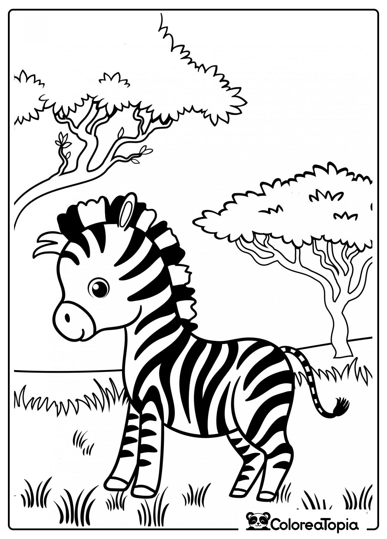 Cebra en la sabana - dibujo para colorear