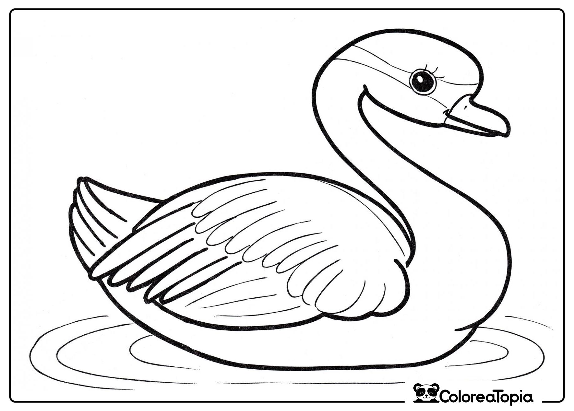 Cisne en el agua - dibujo para colorear