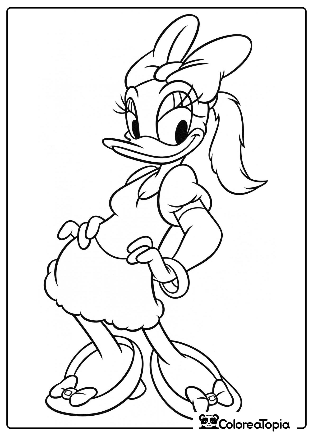 Daisy Duck se pavonea - dibujo para colorear