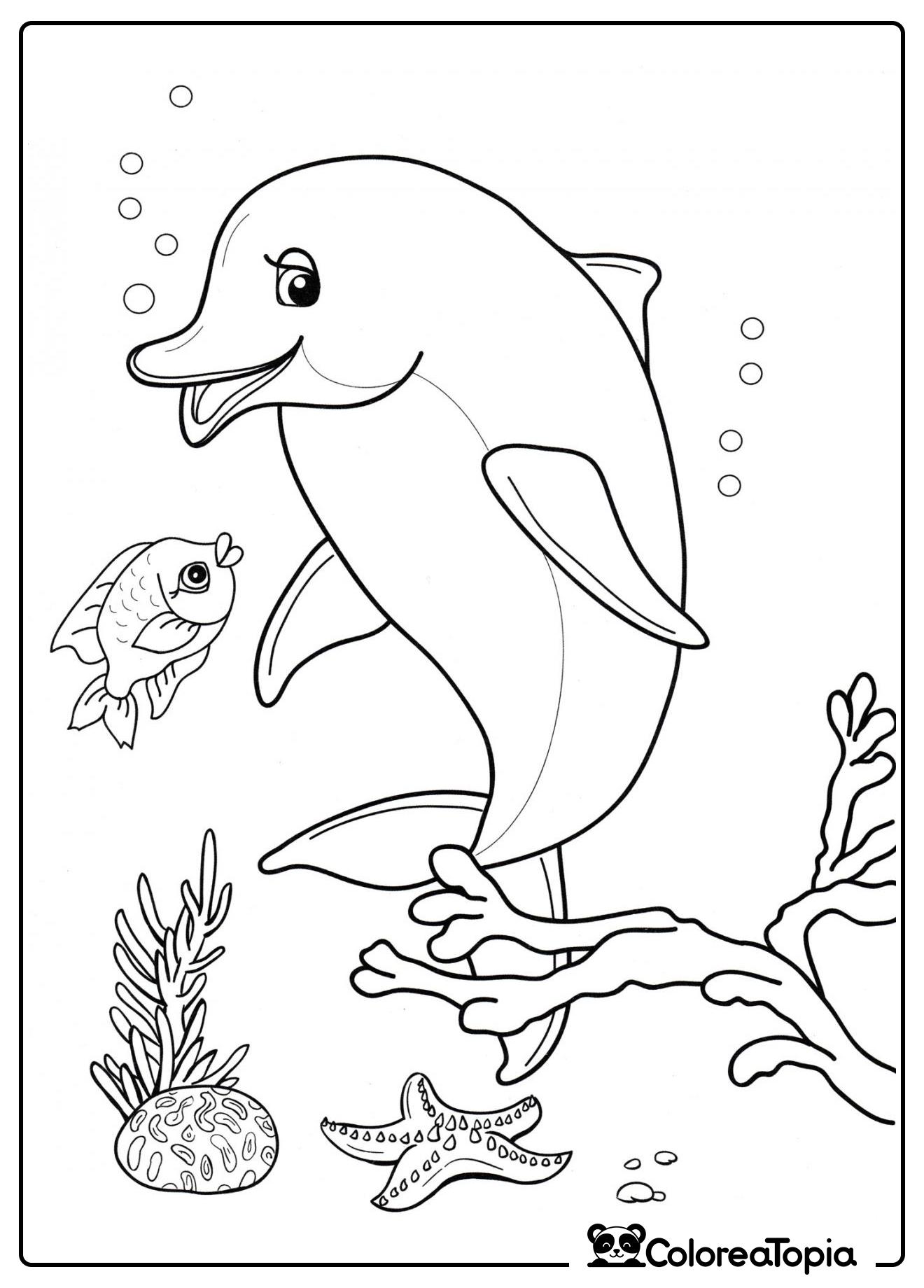 El delfín nada con los peces - dibujo para colorear