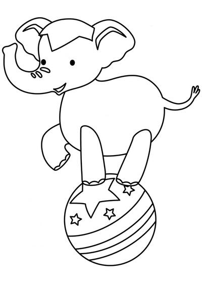 Elefantito en pelota