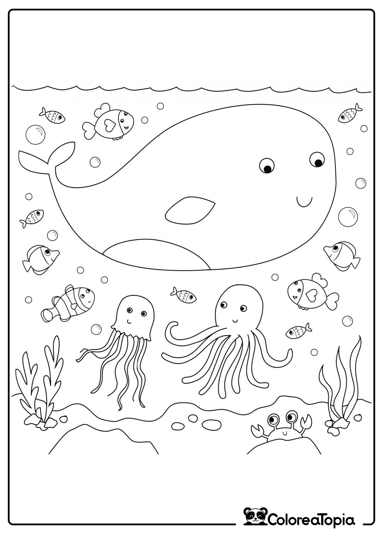 Fauna marina - dibujo para colorear