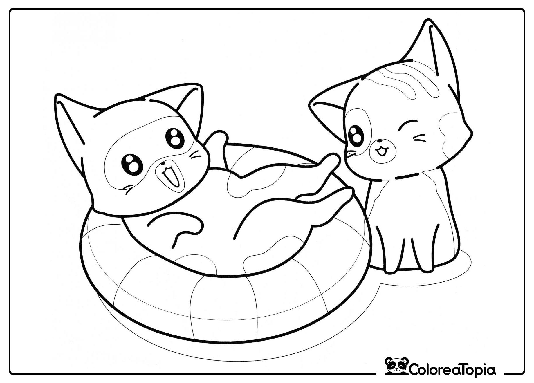 Gatitos y círculo marino - dibujo para colorear
