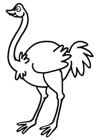 Gran avestruz