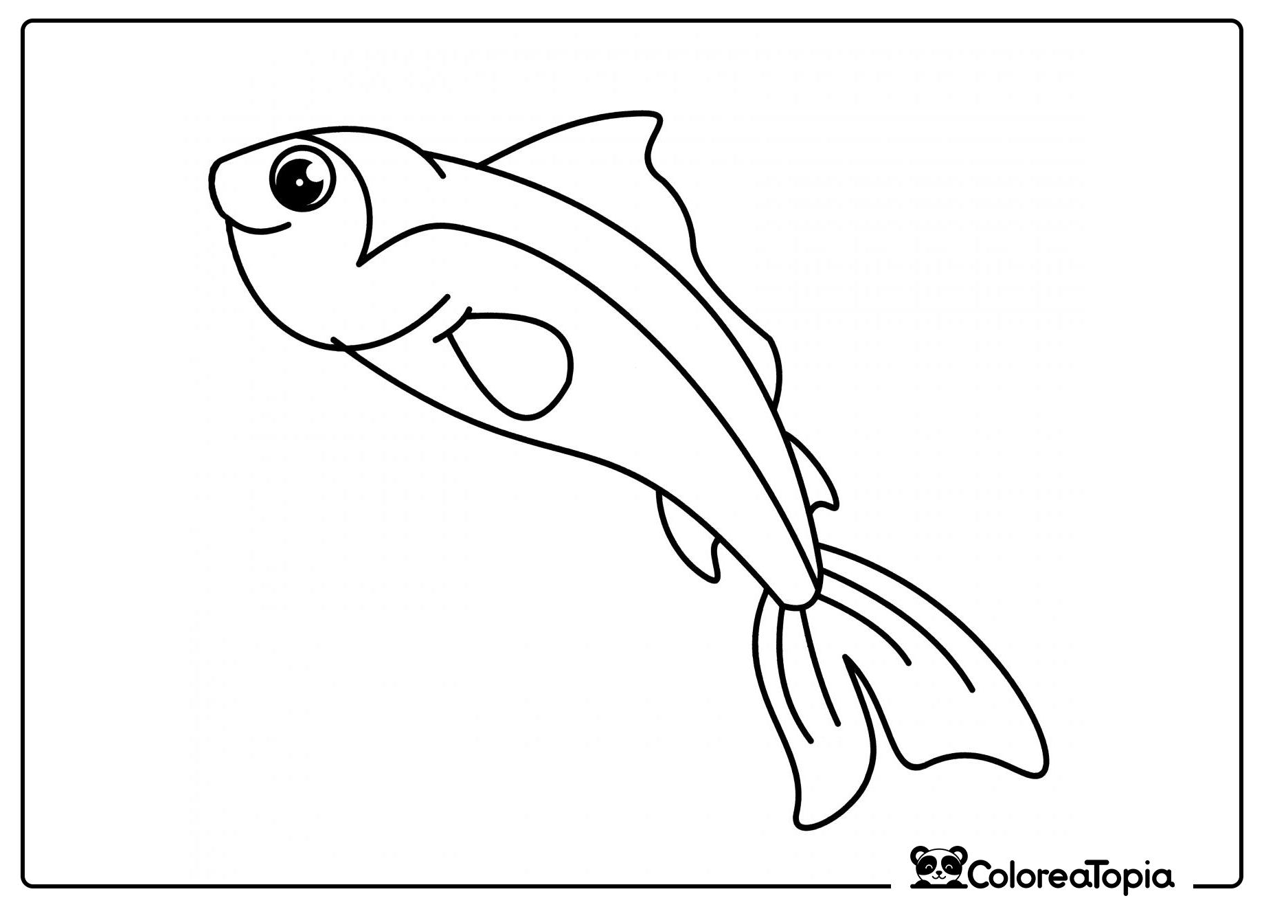 Hermoso pez guppy - dibujo para colorear