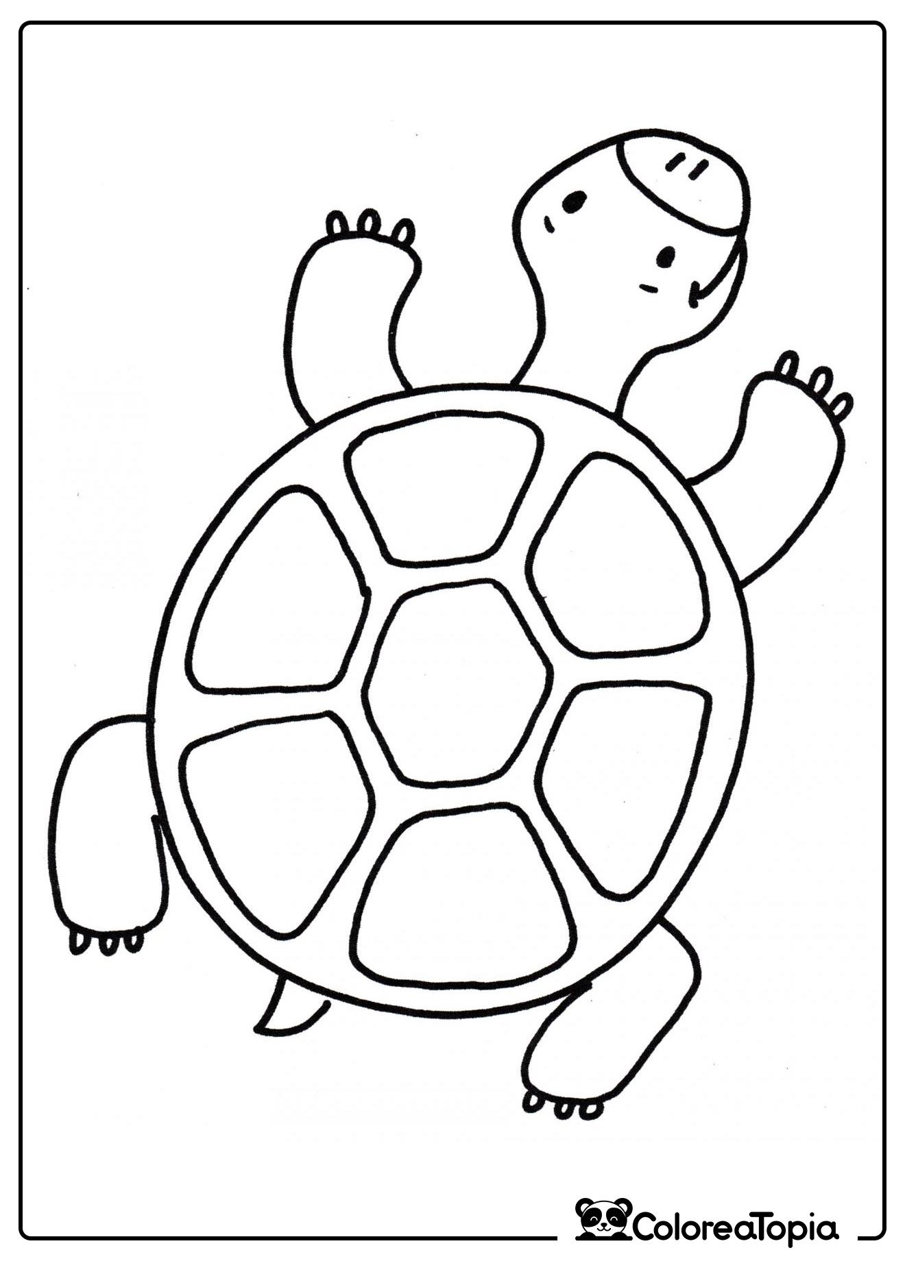 La tortuguita se arrastra - dibujo para colorear