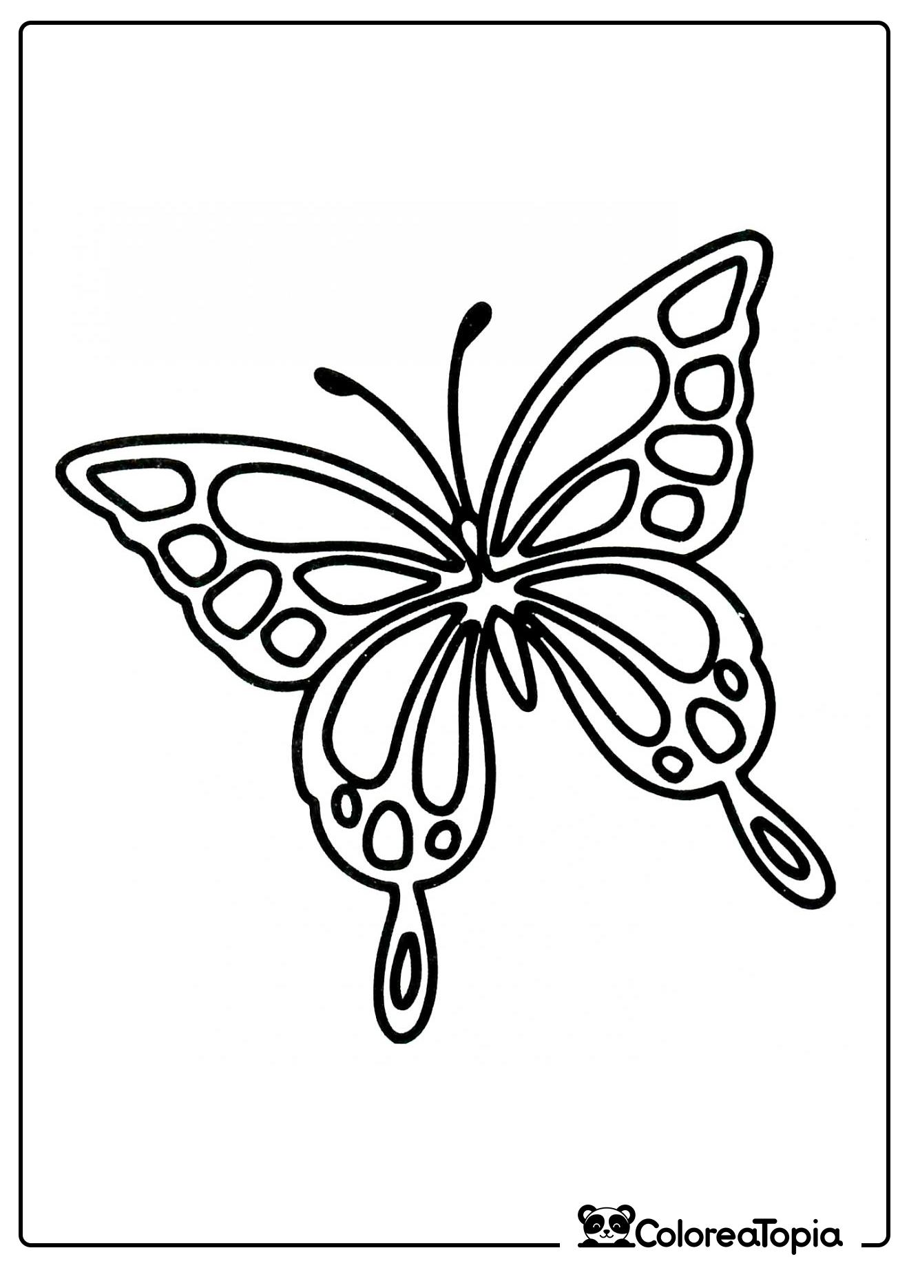 Mariposa multicolor - dibujo para colorear