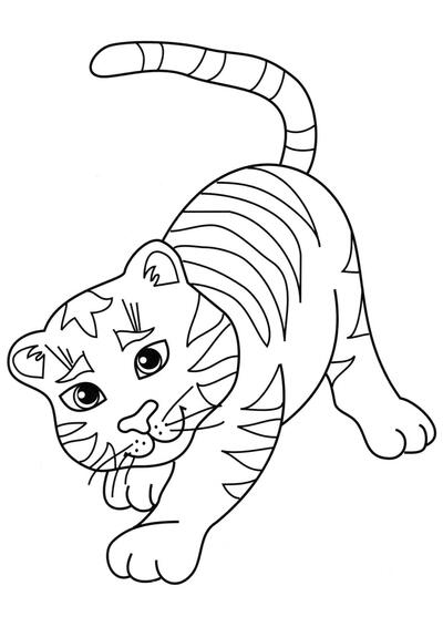 Tigre juguetón