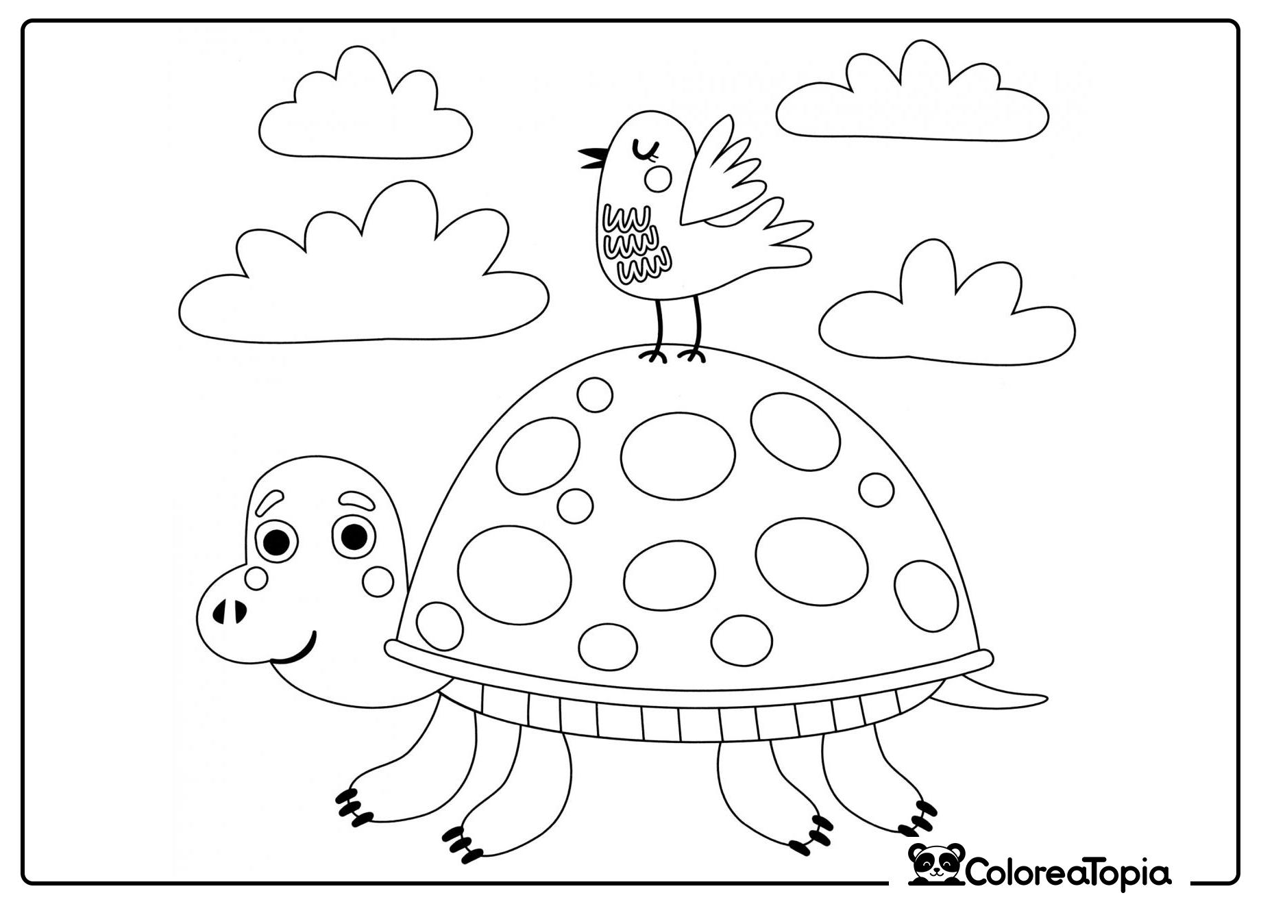 Tortuga con pájaro - dibujo para colorear