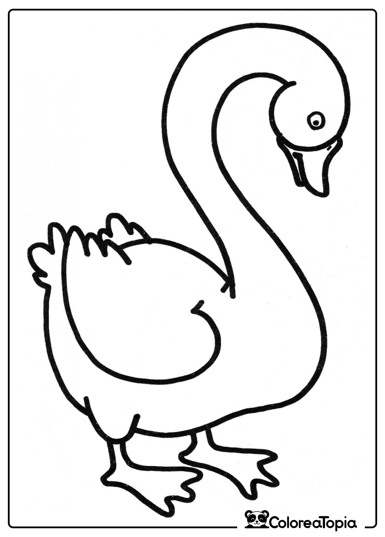 Un hermoso cisne - dibujo para colorear