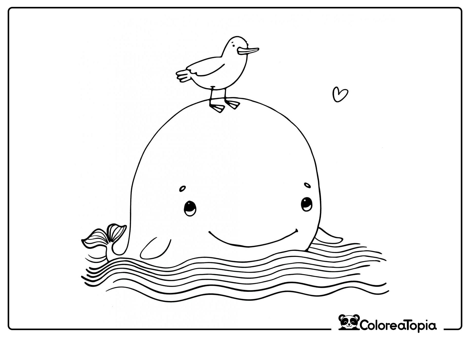 Ballena y gaviota - dibujo para colorear