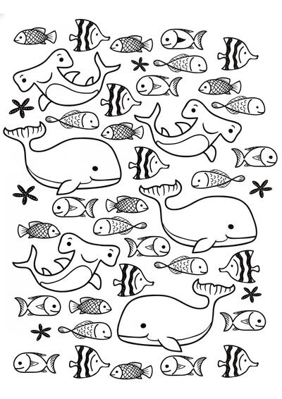 Conjunto de peces y ballenas