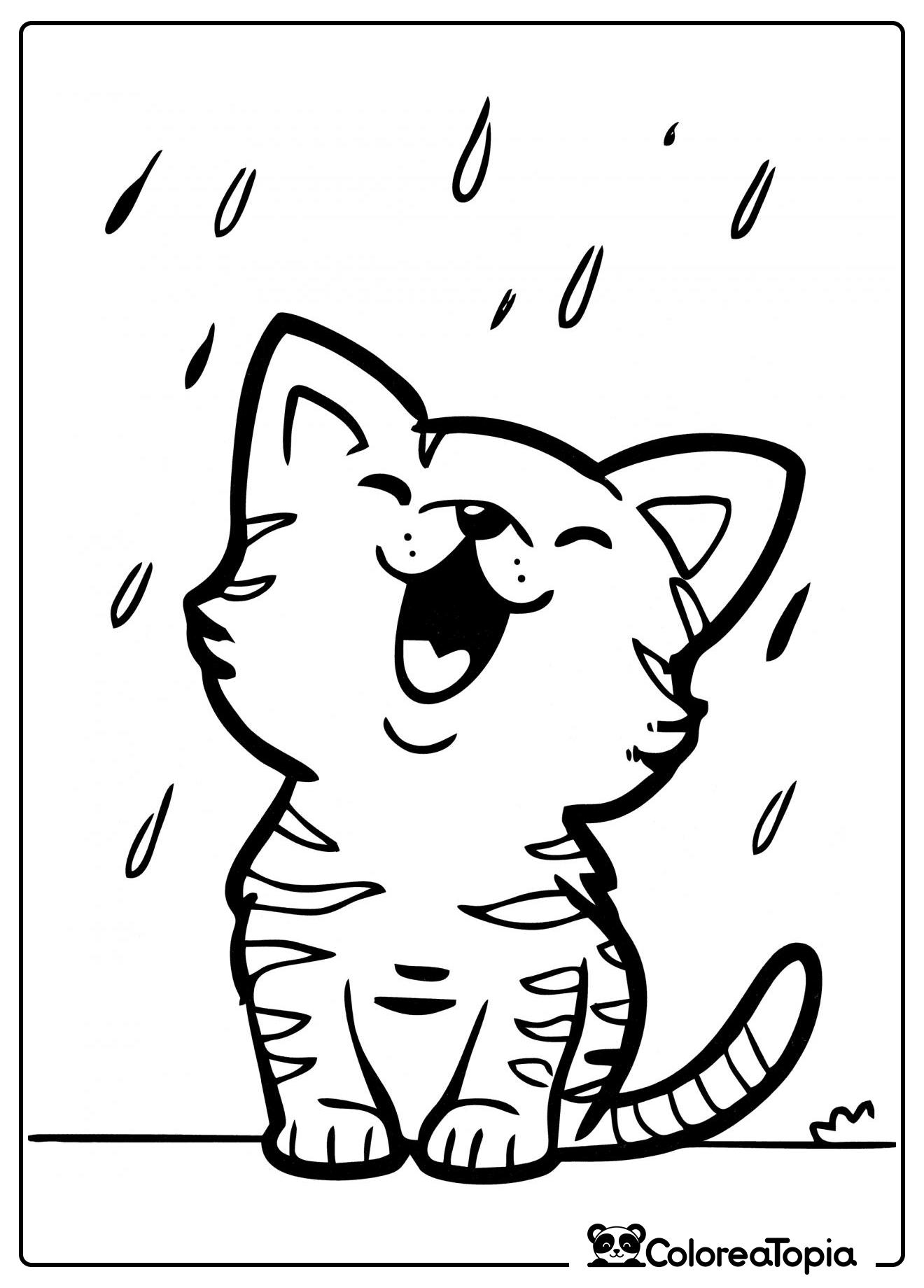 El gatito se alegra de la lluvia - dibujo para colorear