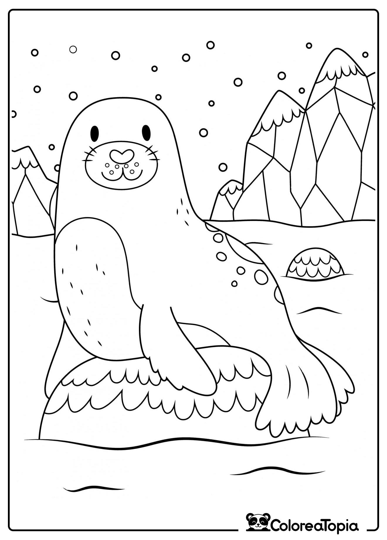 Foca en un iceberg - dibujo para colorear