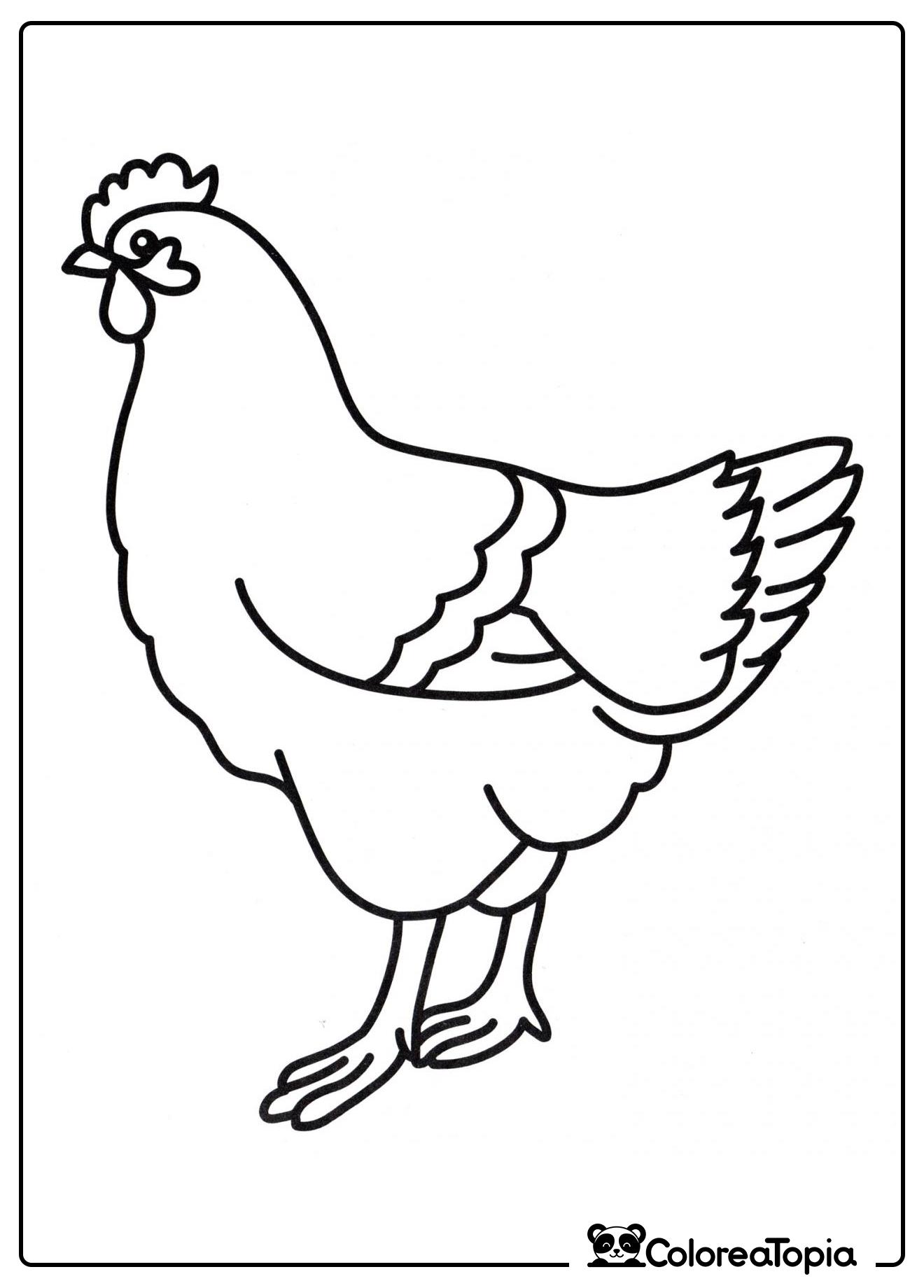 Gallina doméstica - dibujo para colorear