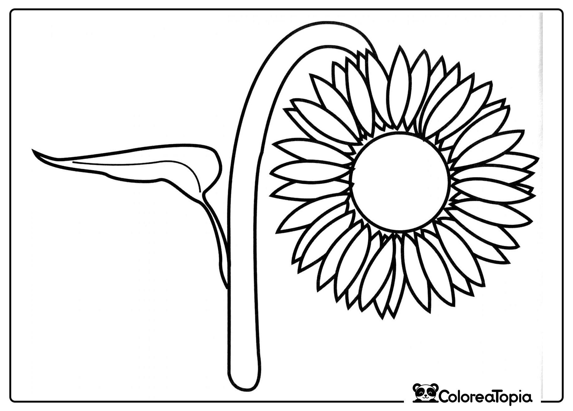 Girasol gigante - dibujo para colorear