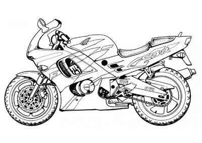 Motocicleta deportiva Honda