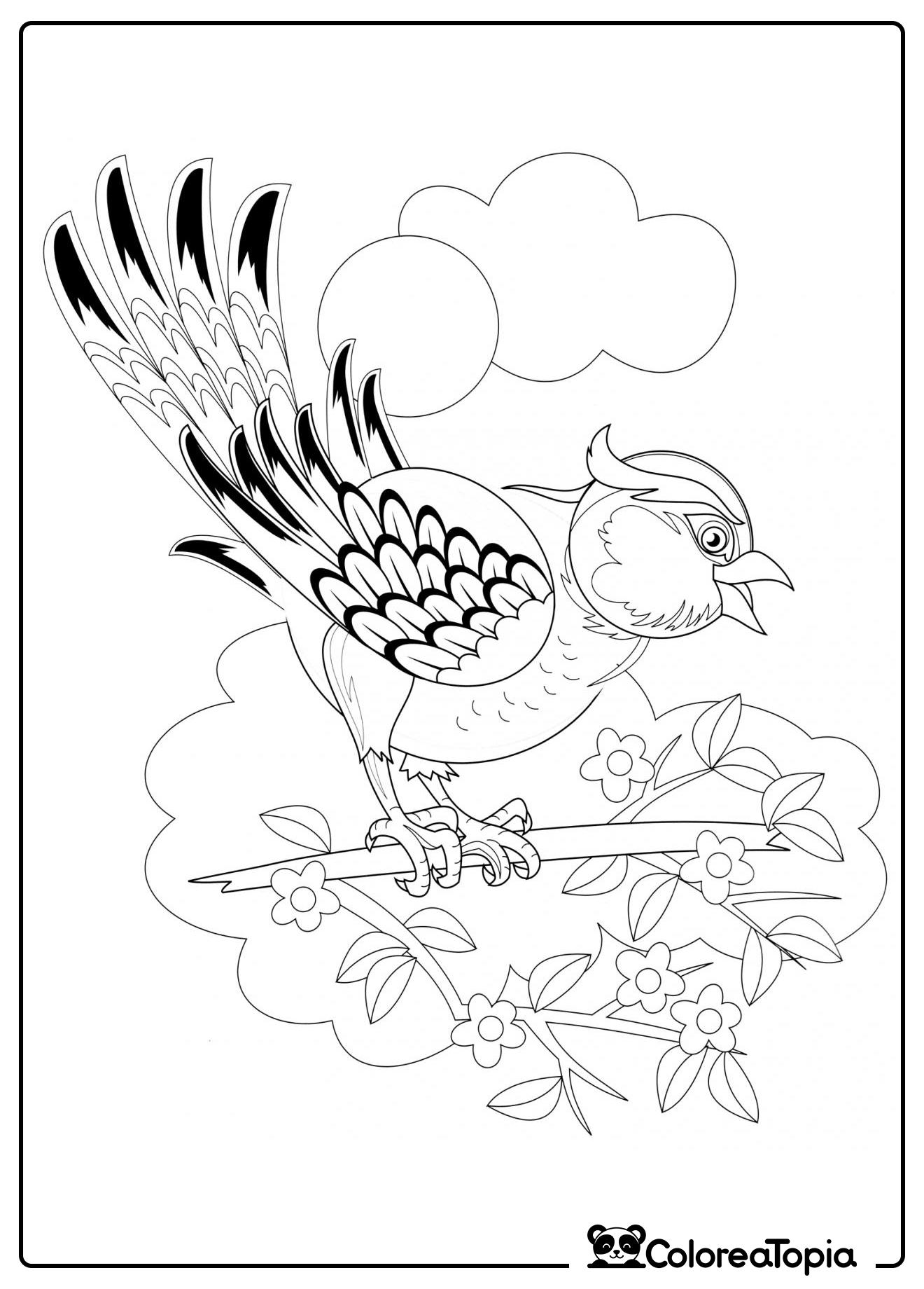 Pájaro en un manzano en flor - dibujo para colorear