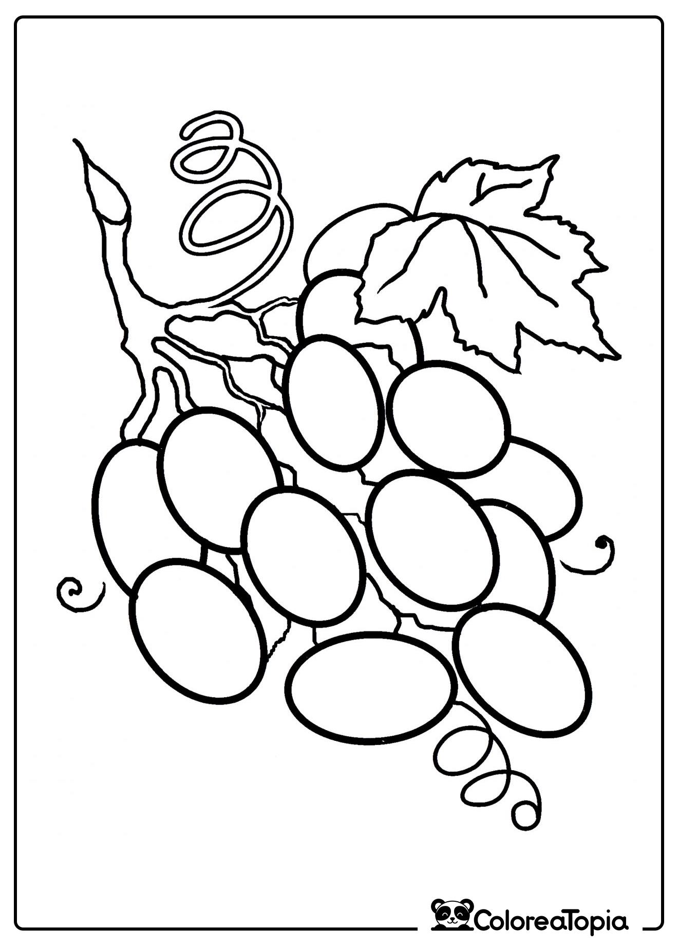 Racimo de uvas ovaladas - dibujo para colorear