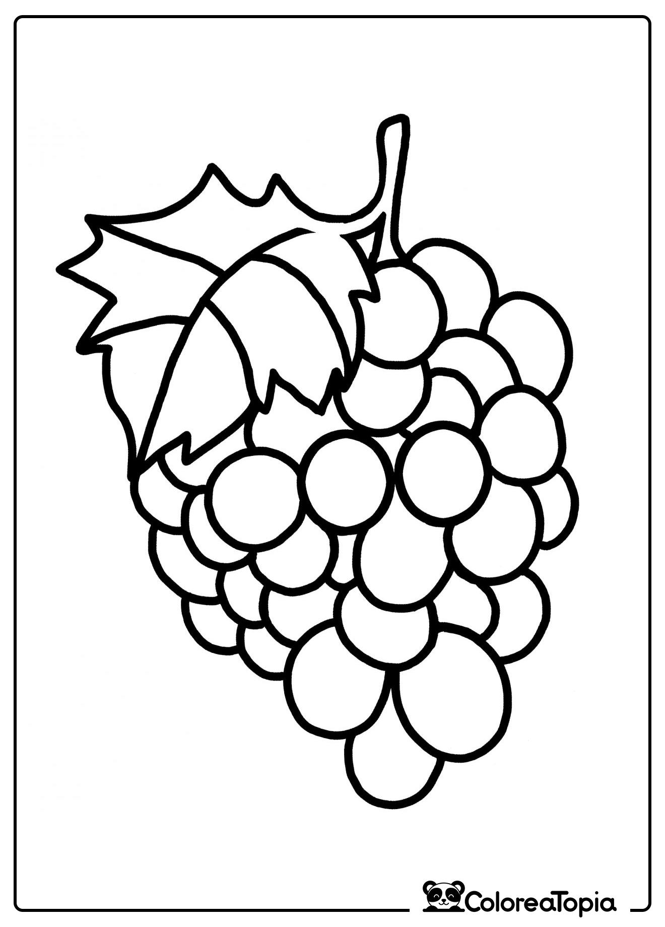 Racimo de uvas - dibujo para colorear