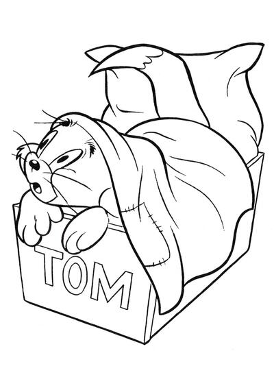 Tom en la cama