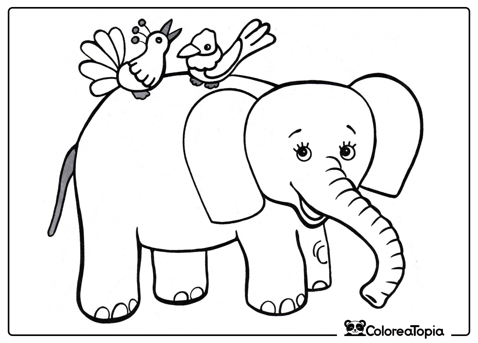 Bebé elefante amable - dibujo para colorear