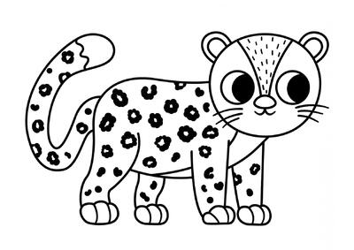 Leopardo ordenado