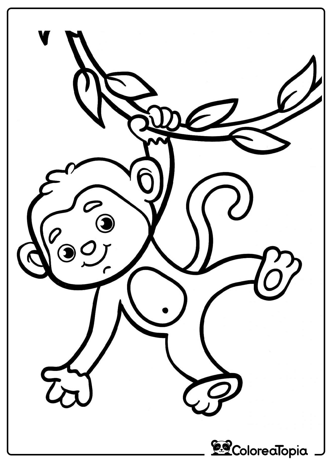 Monito en la jungla - dibujo para colorear