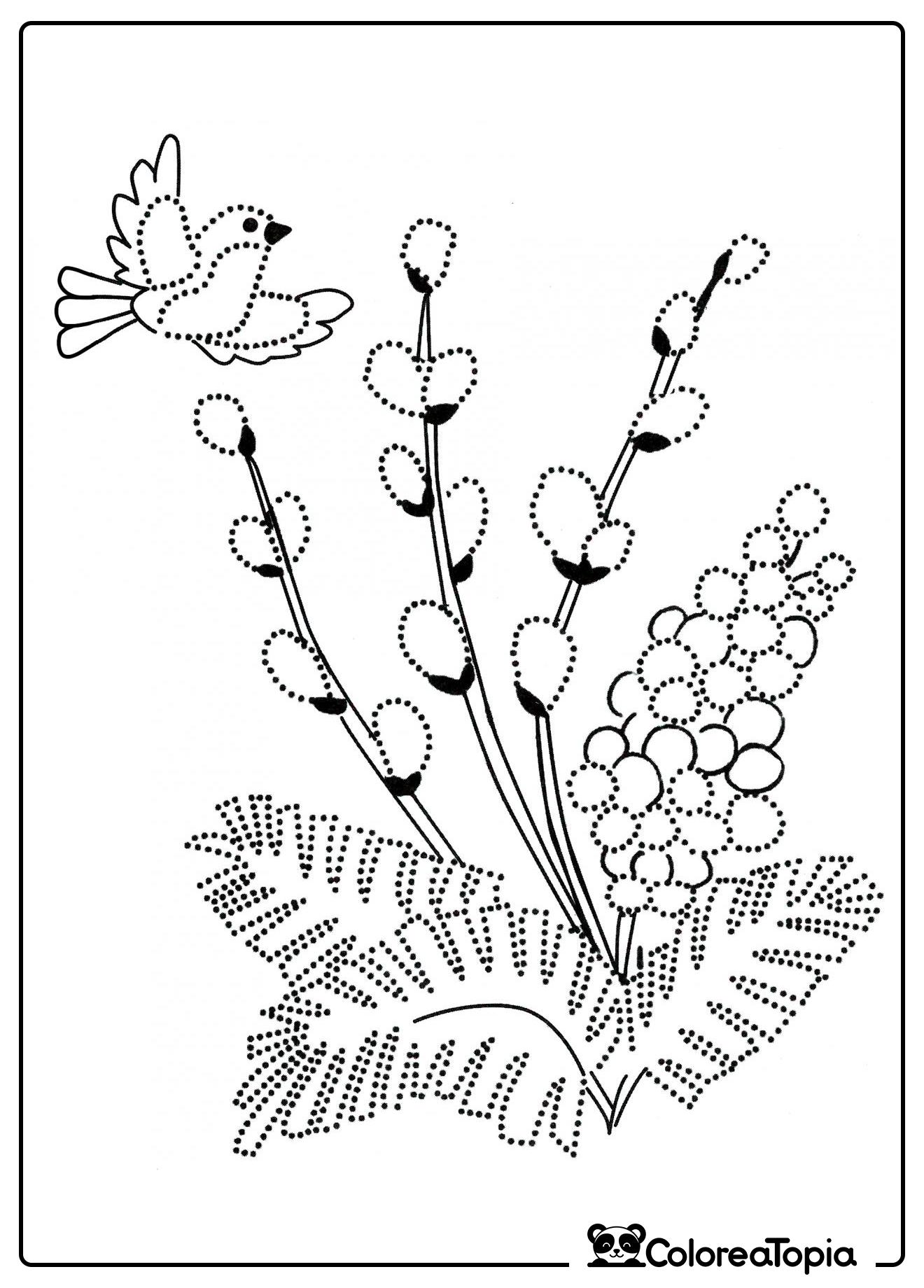 Pajarito y ramita de mimosa - dibujo para colorear