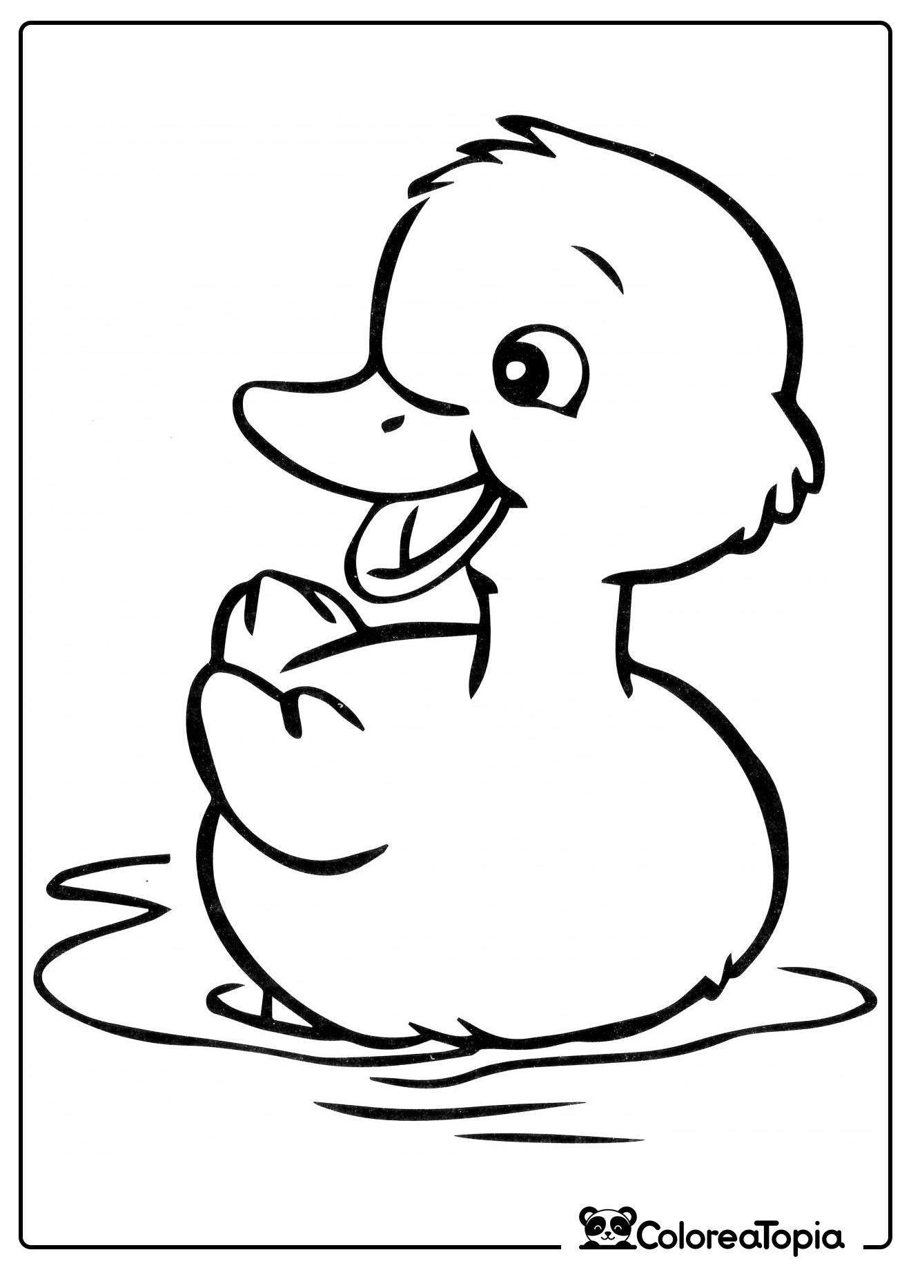 Patito alegre - dibujo para colorear