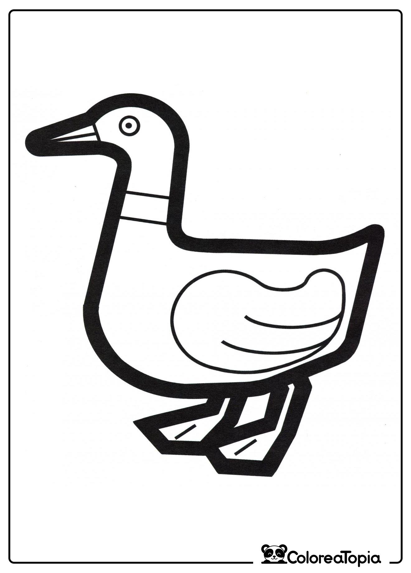 Patito en la tierra - dibujo para colorear