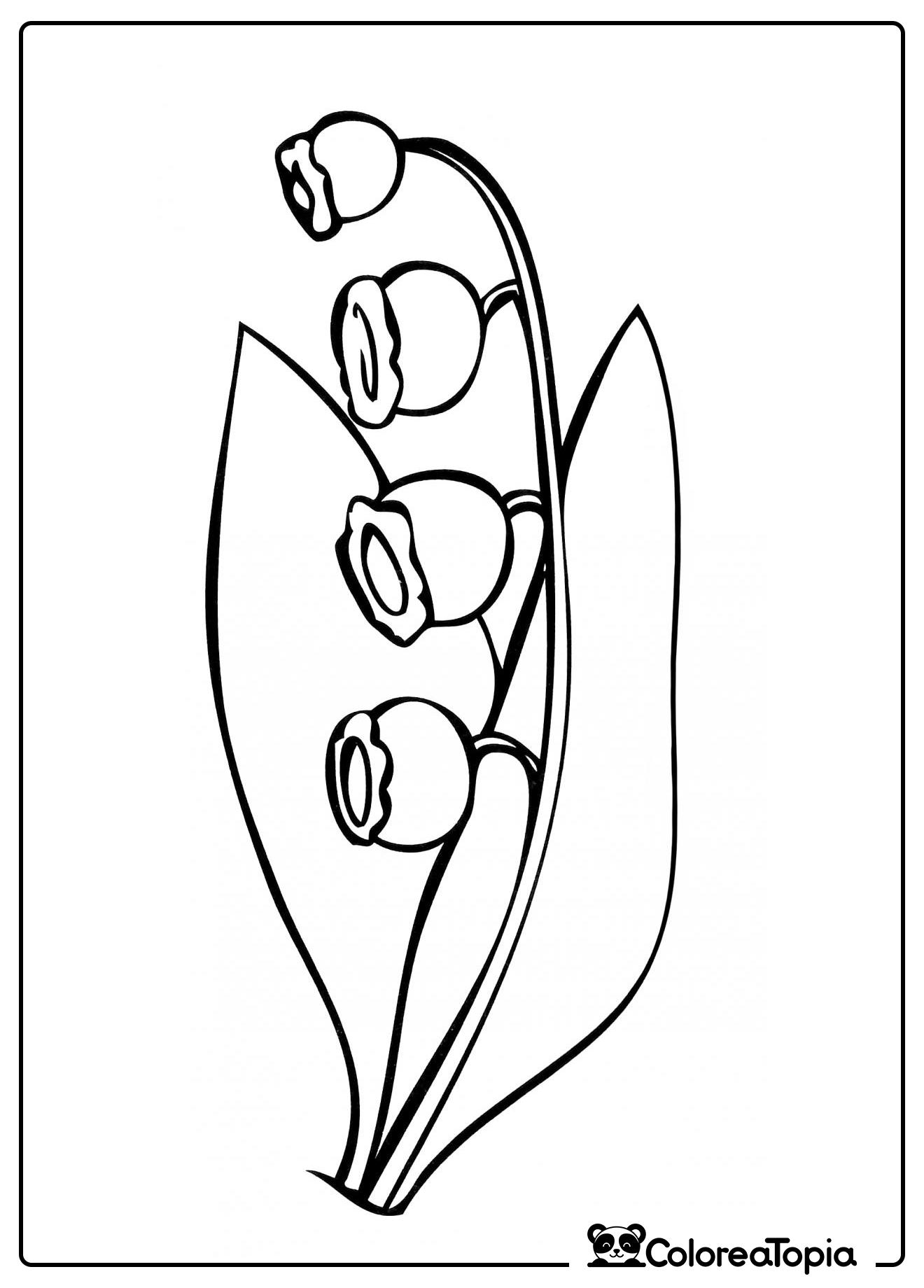 Rama de lirio de los valles - dibujo para colorear