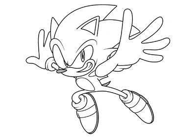 Sonic en vuelo