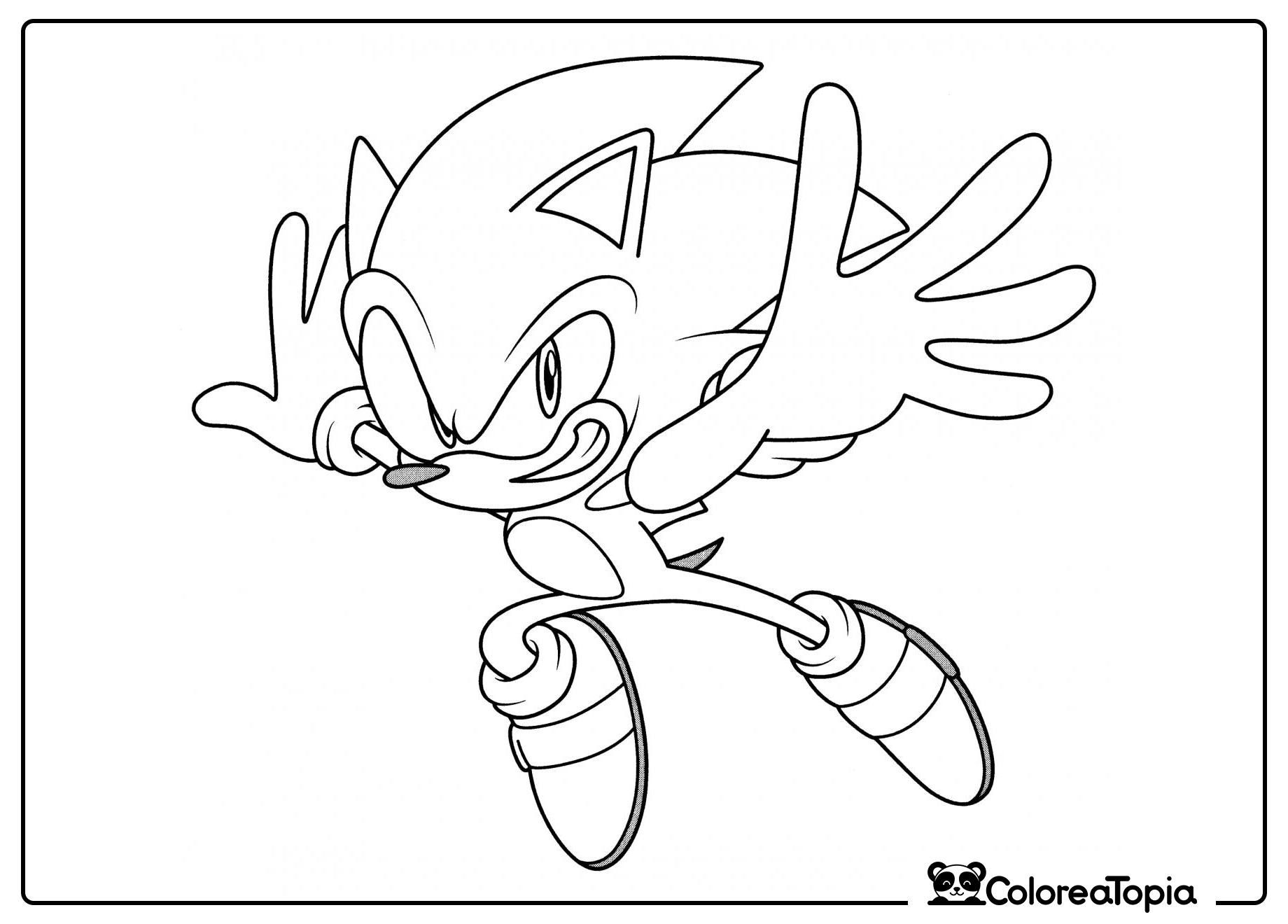 Sonic en vuelo - dibujo para colorear