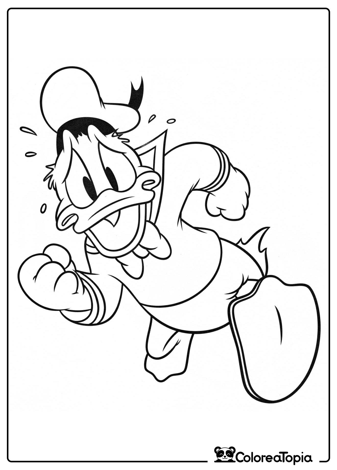 Donald Duck escapa - dibujo para colorear