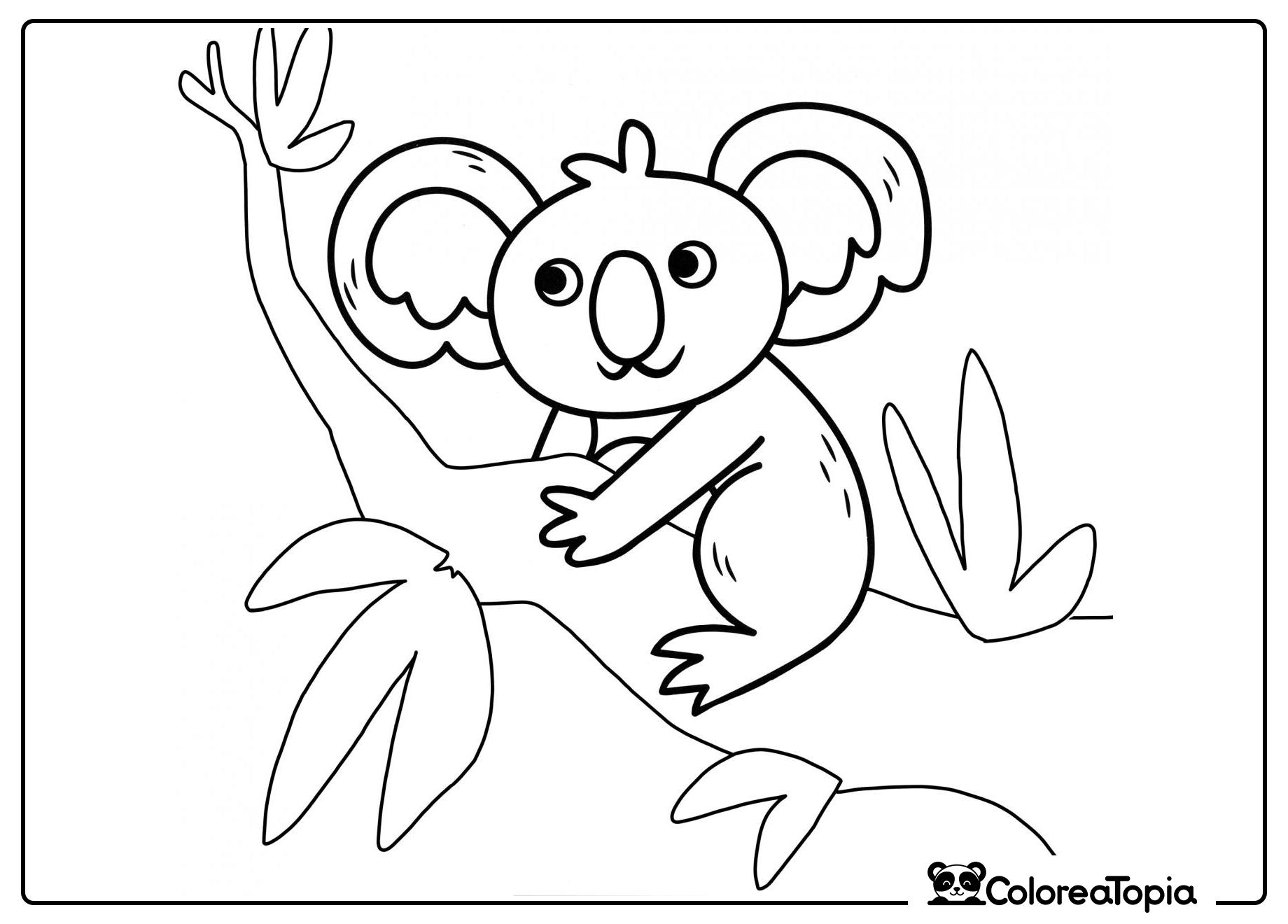 Koala en la rama - dibujo para colorear