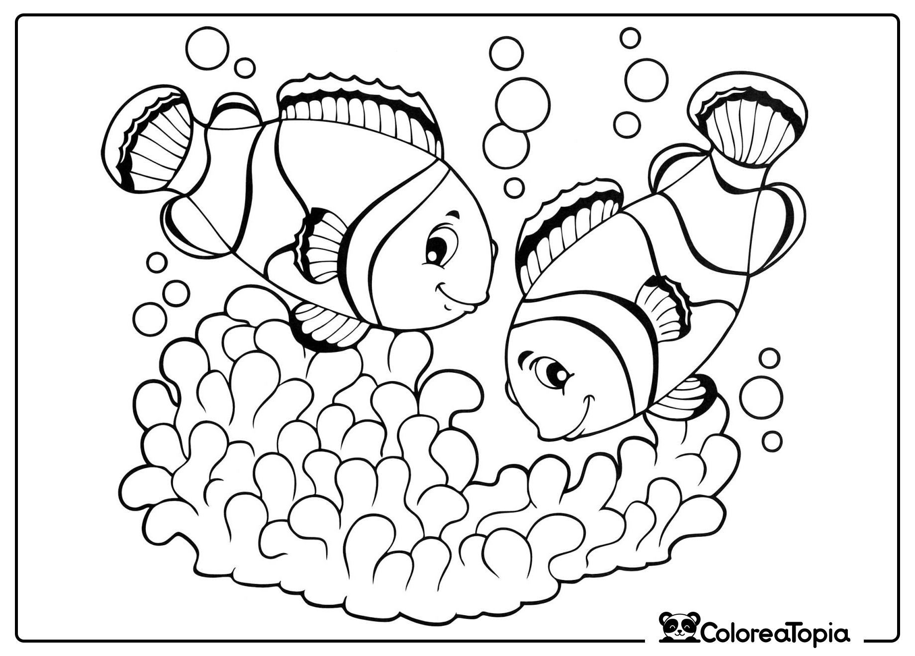 Páginas para colorear de peces payaso - dibujo para colorear