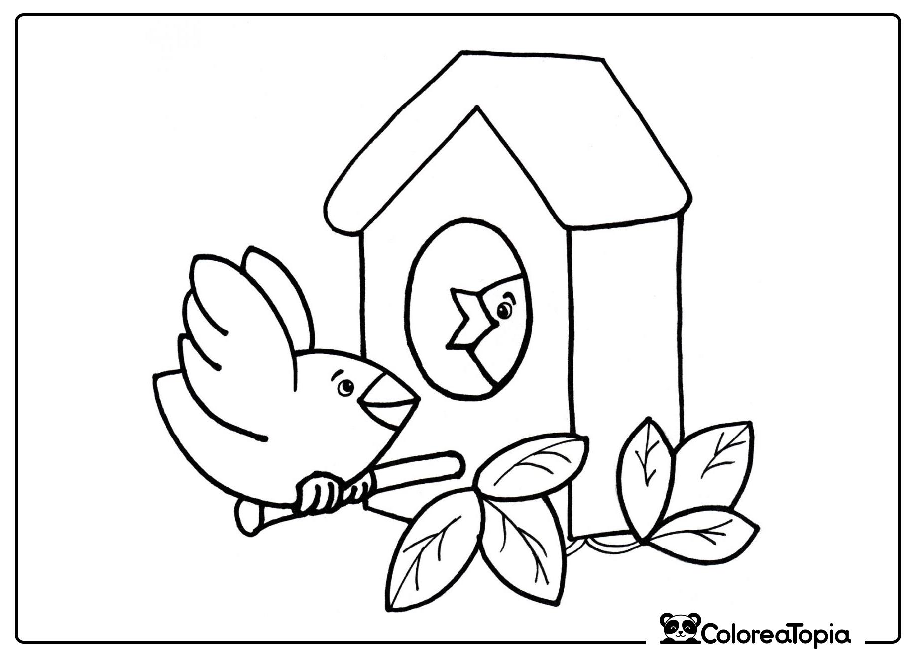 Pájaros en la casita de pájaros - dibujo para colorear