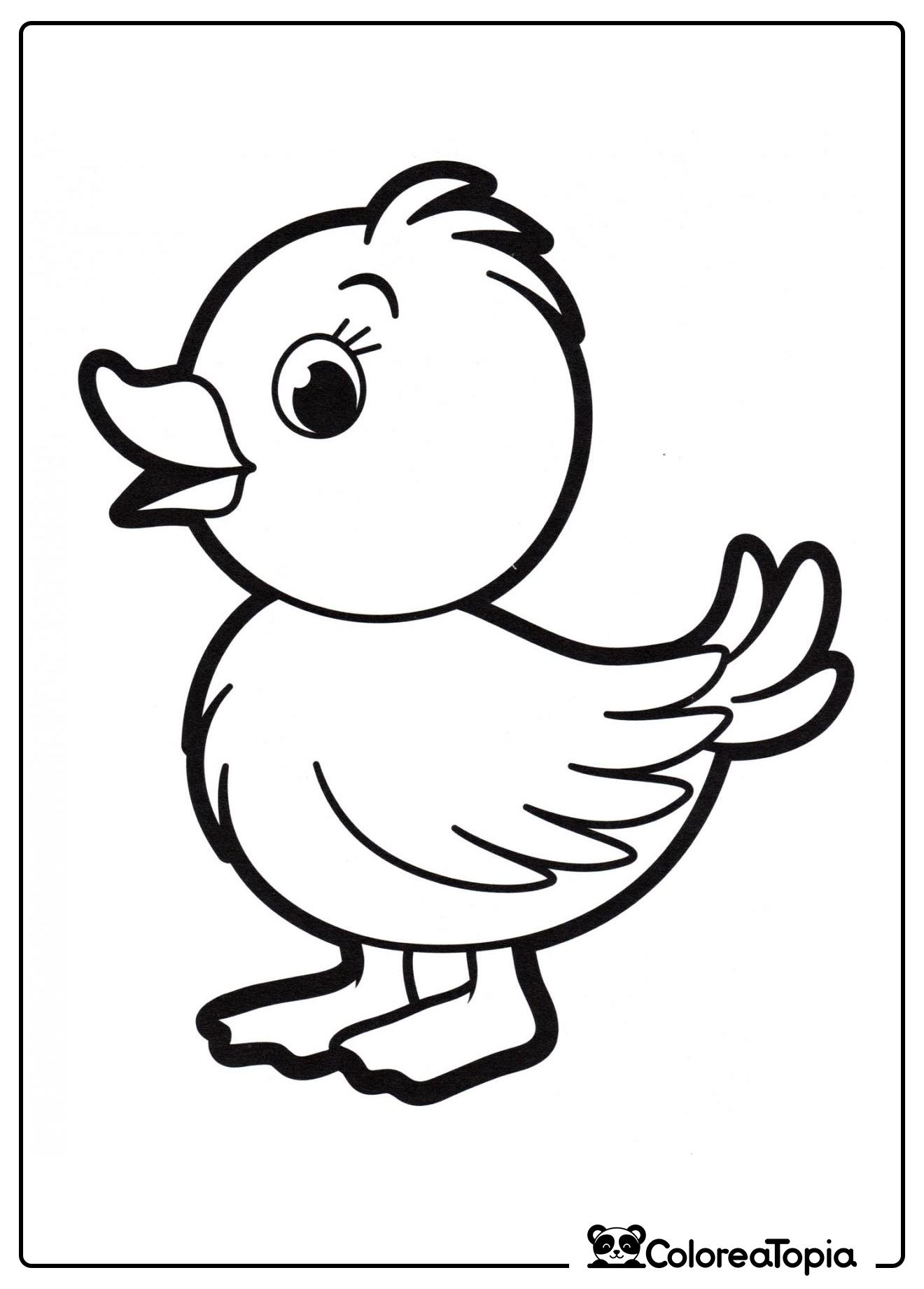 Patito pequeño - dibujo para colorear