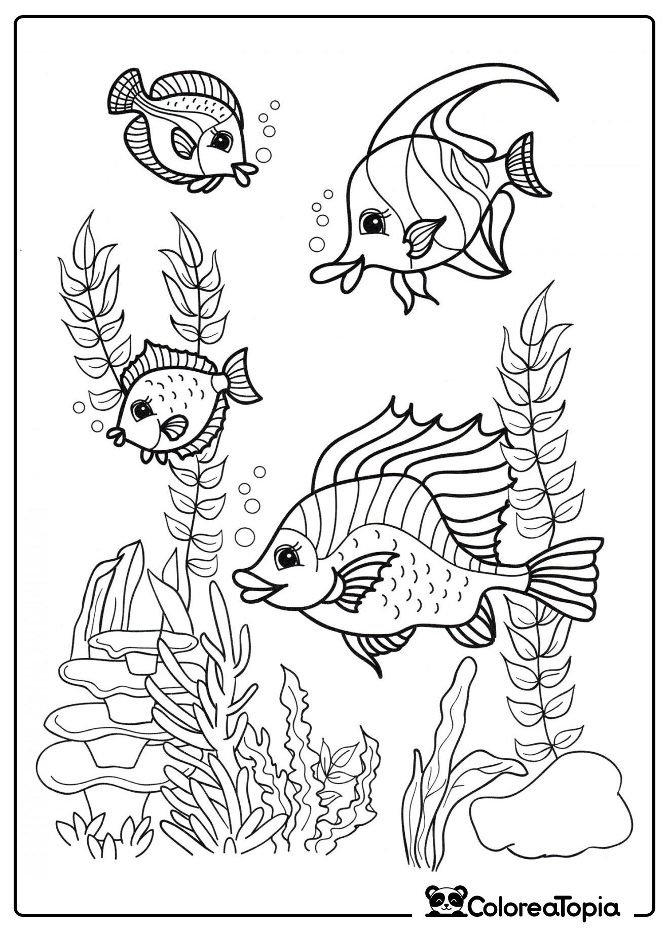 Peces entre algas - dibujo para colorear