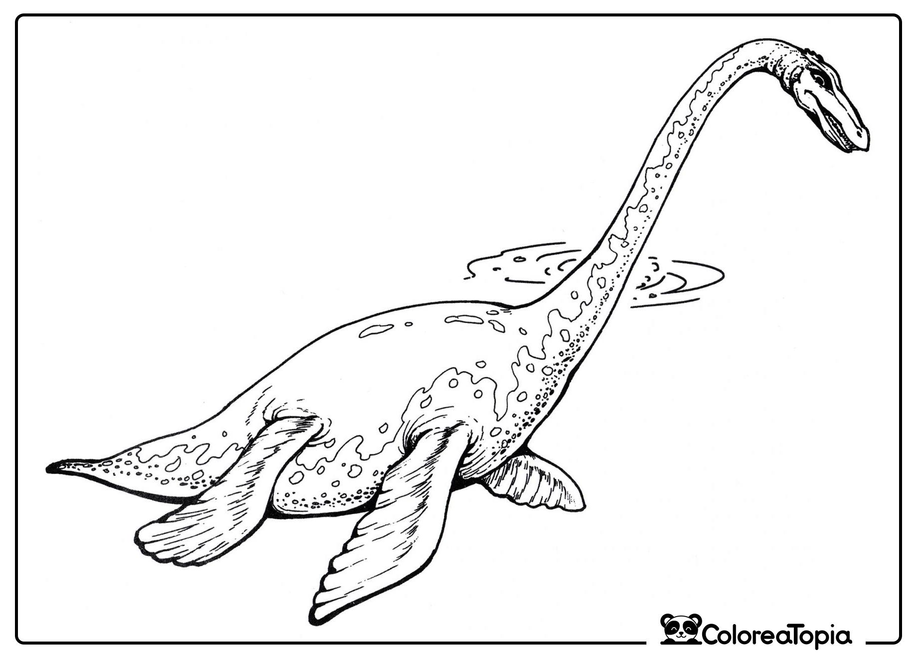 Plesiosaurio - dibujo para colorear