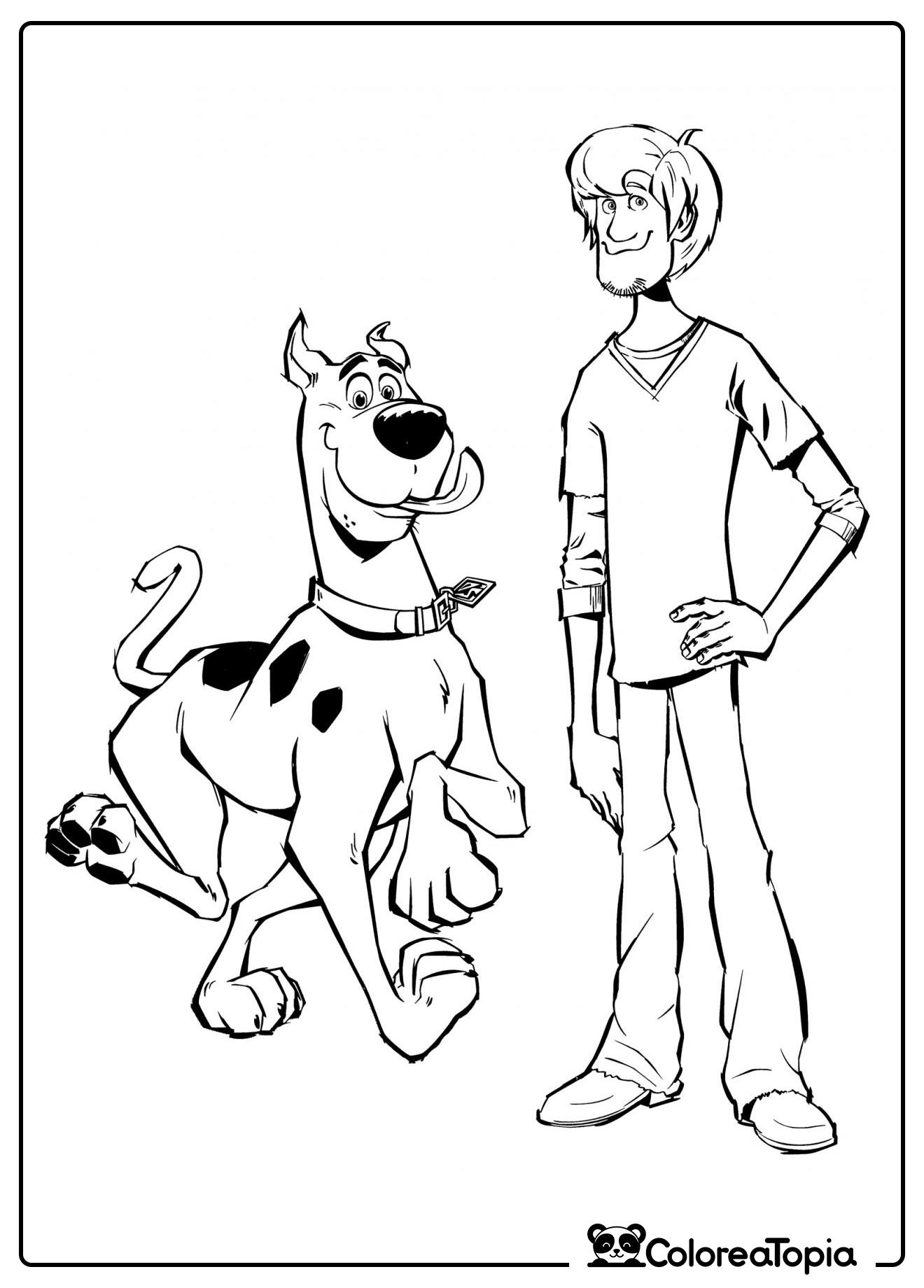 Scooby-Doo y Shaggy - dibujo para colorear