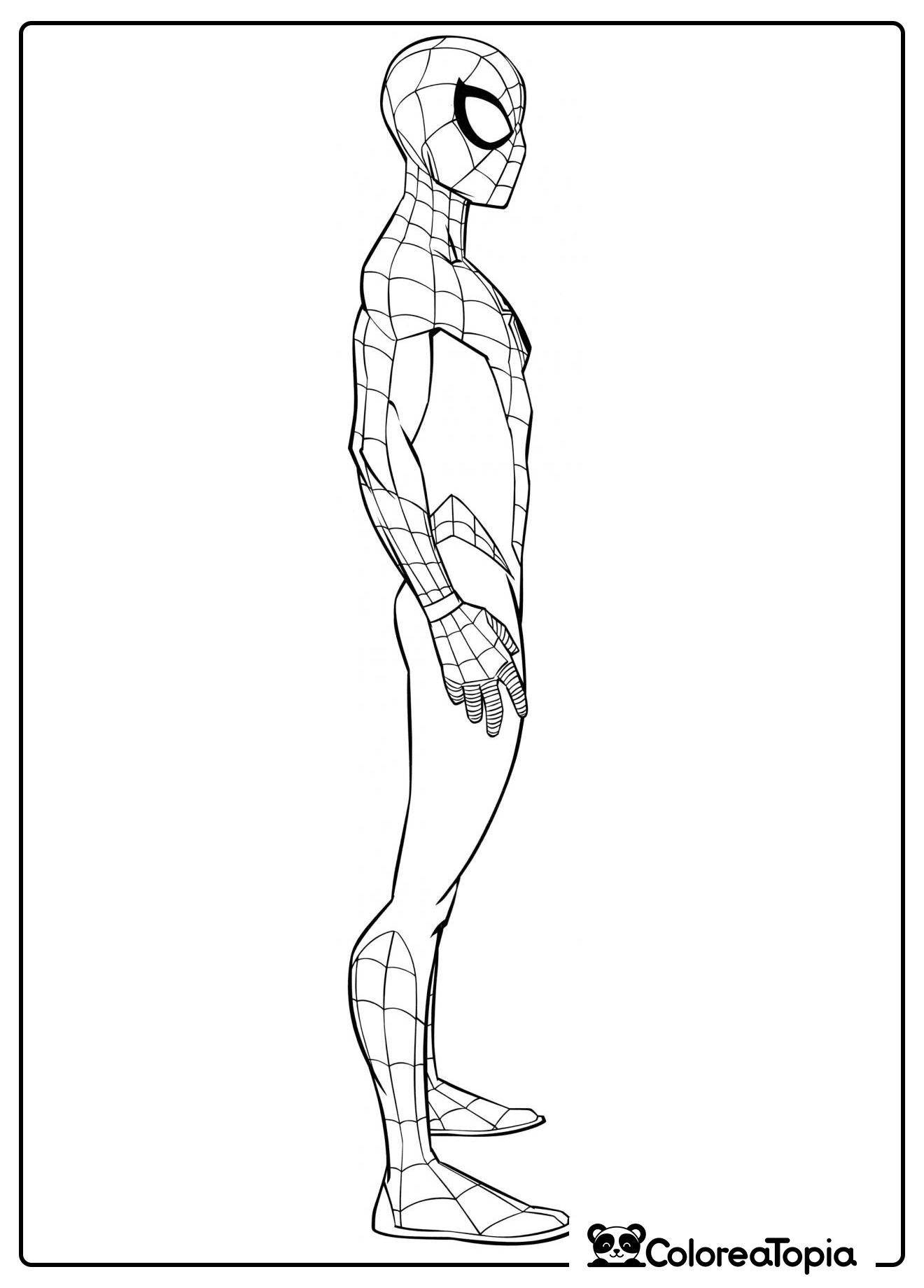 Spider-Man vista lateral - dibujo para colorear