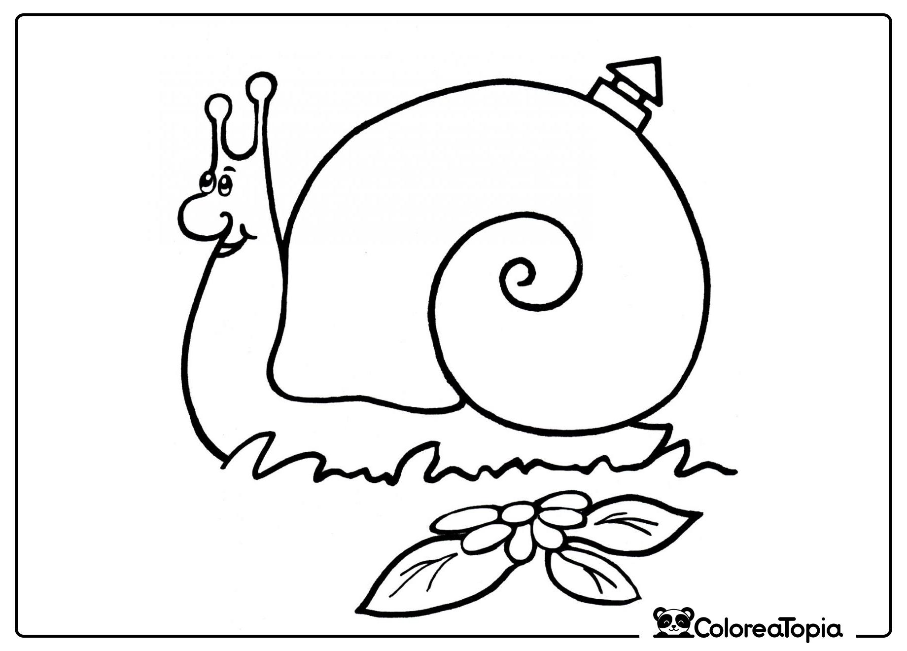 Caracol en su casita - dibujo para colorear