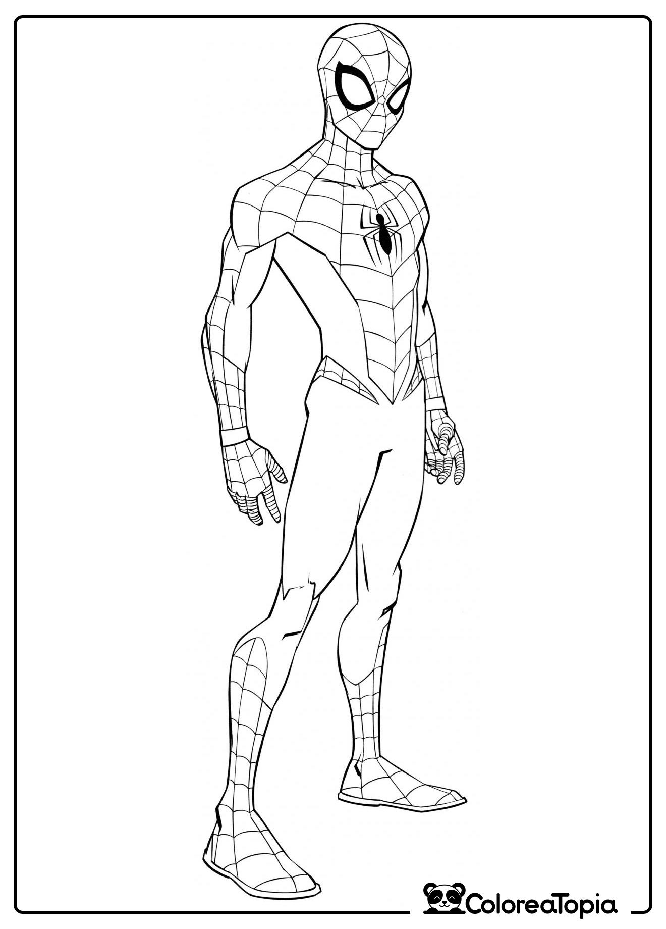 Hombre Araña Bonito - dibujo para colorear