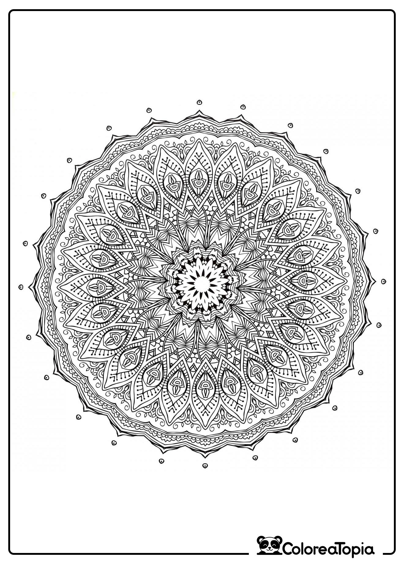 Mandalas Alfombra Floral - dibujo para colorear